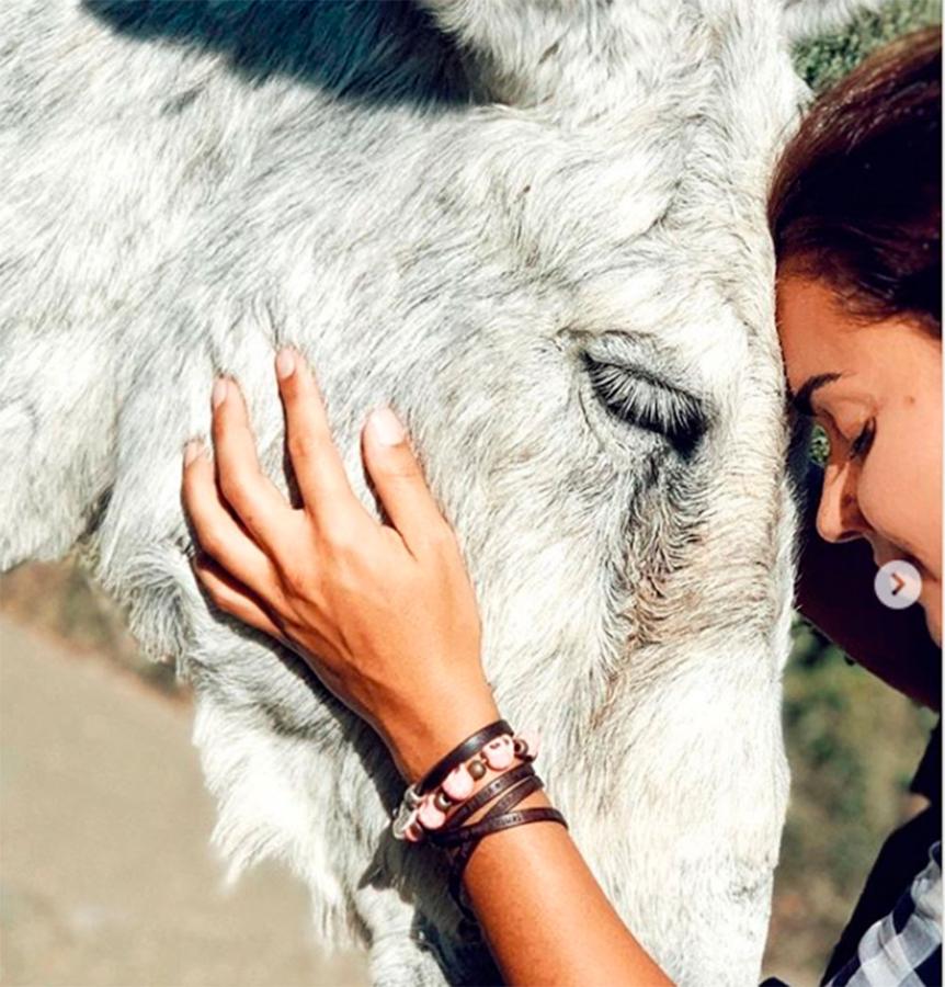 Además de para mostrar los lugares idílicos a los que ha viajado, Lara Álvarez ha usado su Instagram este verano para concienciar sobre la importancia de proteger a ciertas especies animales: en concreto, a los burros.