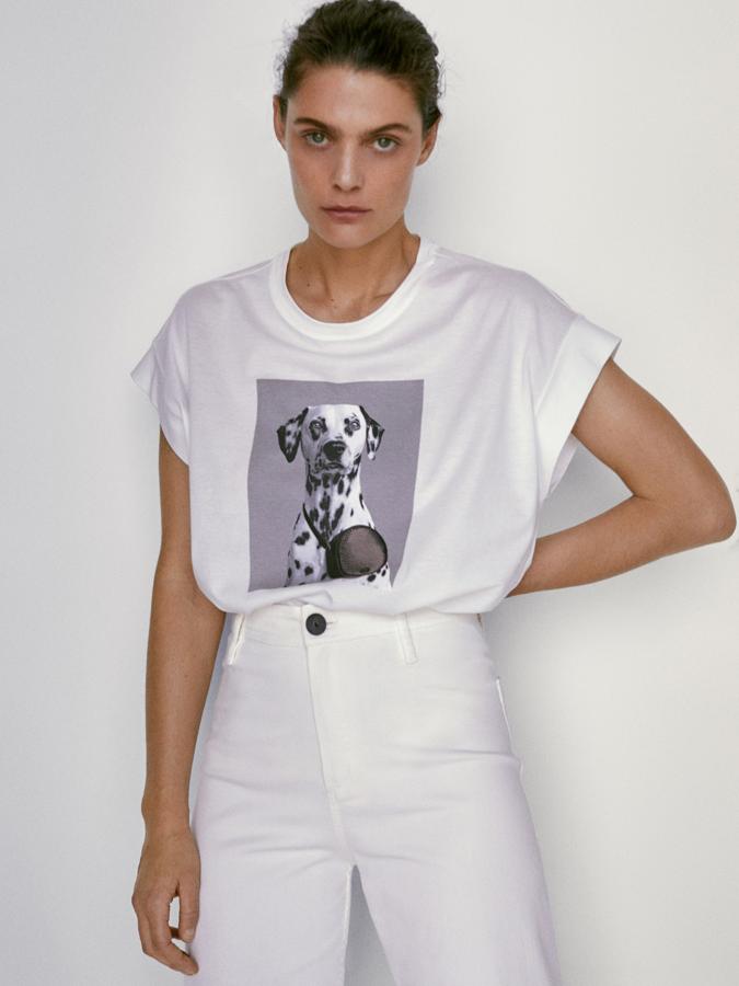 Camiseta básica blanca con detalle de perro dálmata, ideal para llevar con pantalones, la puedes encontrar en la sección de descuentos de Massimo Dutti (15,95 euros).