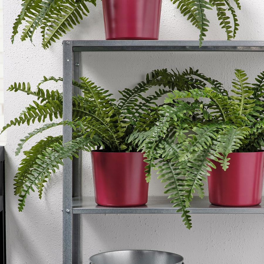 Este macetero en color rojo oscuro es apto tanto para exterior como para interior. De 15 centímetros, tiene un precio de 5 euros.