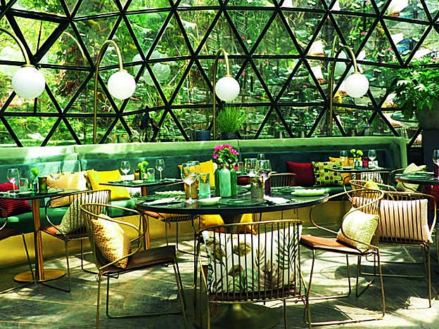 (lacupuladelospenotes.com)