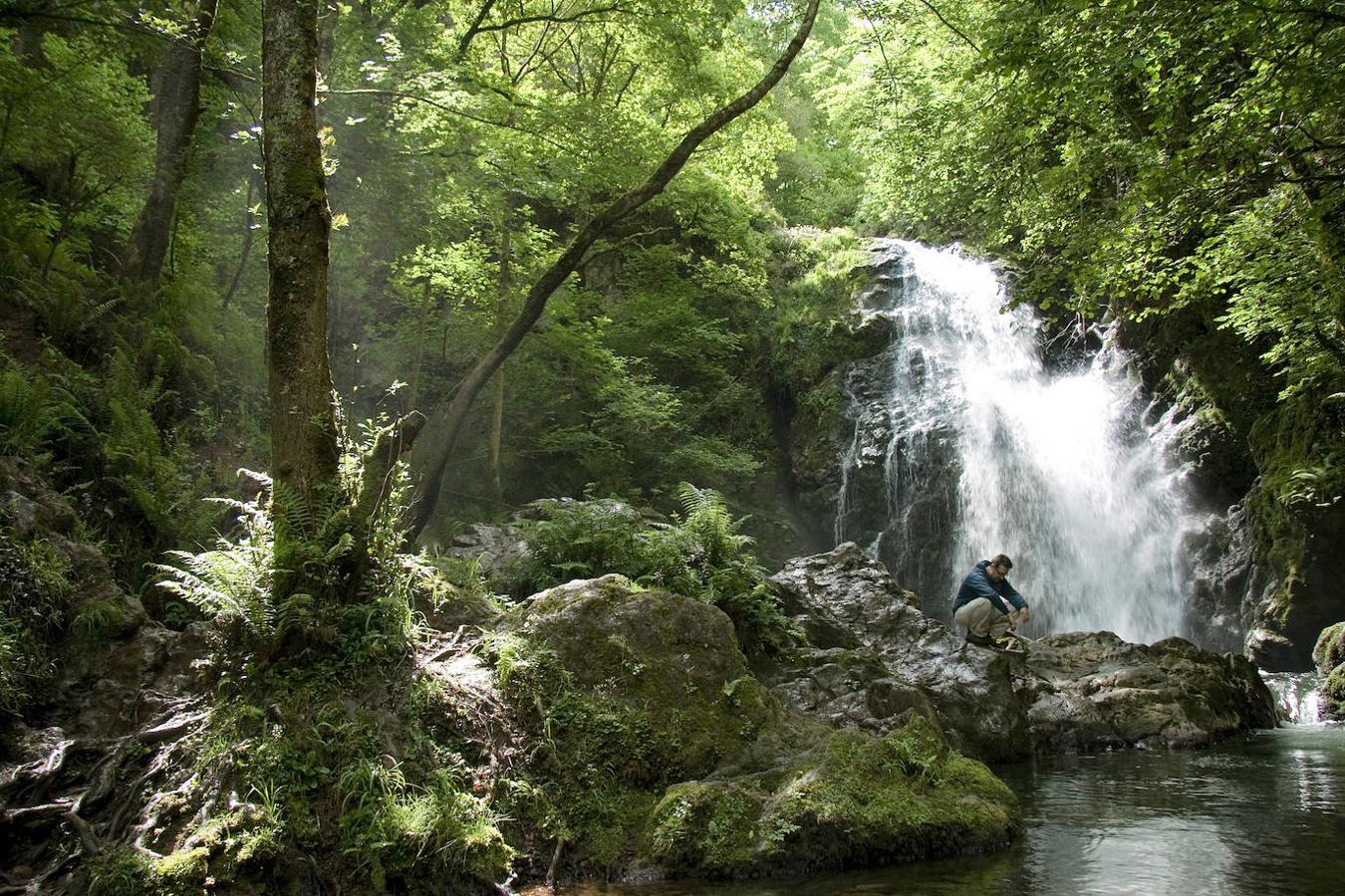 Dolores Redondo  acertó de lleno al ubicar su famosa saga literaria en el valle del Baztan: este enclave del Pirineo navarro está lleno de bosques misteriosos ideales para una historia de novela negra. El sendero circular que lleva a la Cascada de Xorroxin, cerca del pueblo de Erratzu, se recorre en un par de horas. Entre helechos, musgos, castaños y hayas, podrás descubrir rincones tan maravillosos como el de esta imagen.