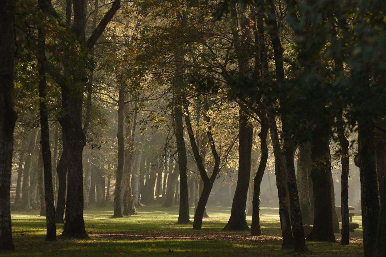 Situada cerca de Outeiro de Rei (Lugo), este área recreativa está acondicionada para disfrutar de un maravilloso día de campo, sobre todo en familia. Ubicada en un bonito bosque junto a la confluencia de los ríos Miño y Ladra, el Campo de Santa Isabel cuenta con mesas, aparcamiento y un precioso paseo fluvial.