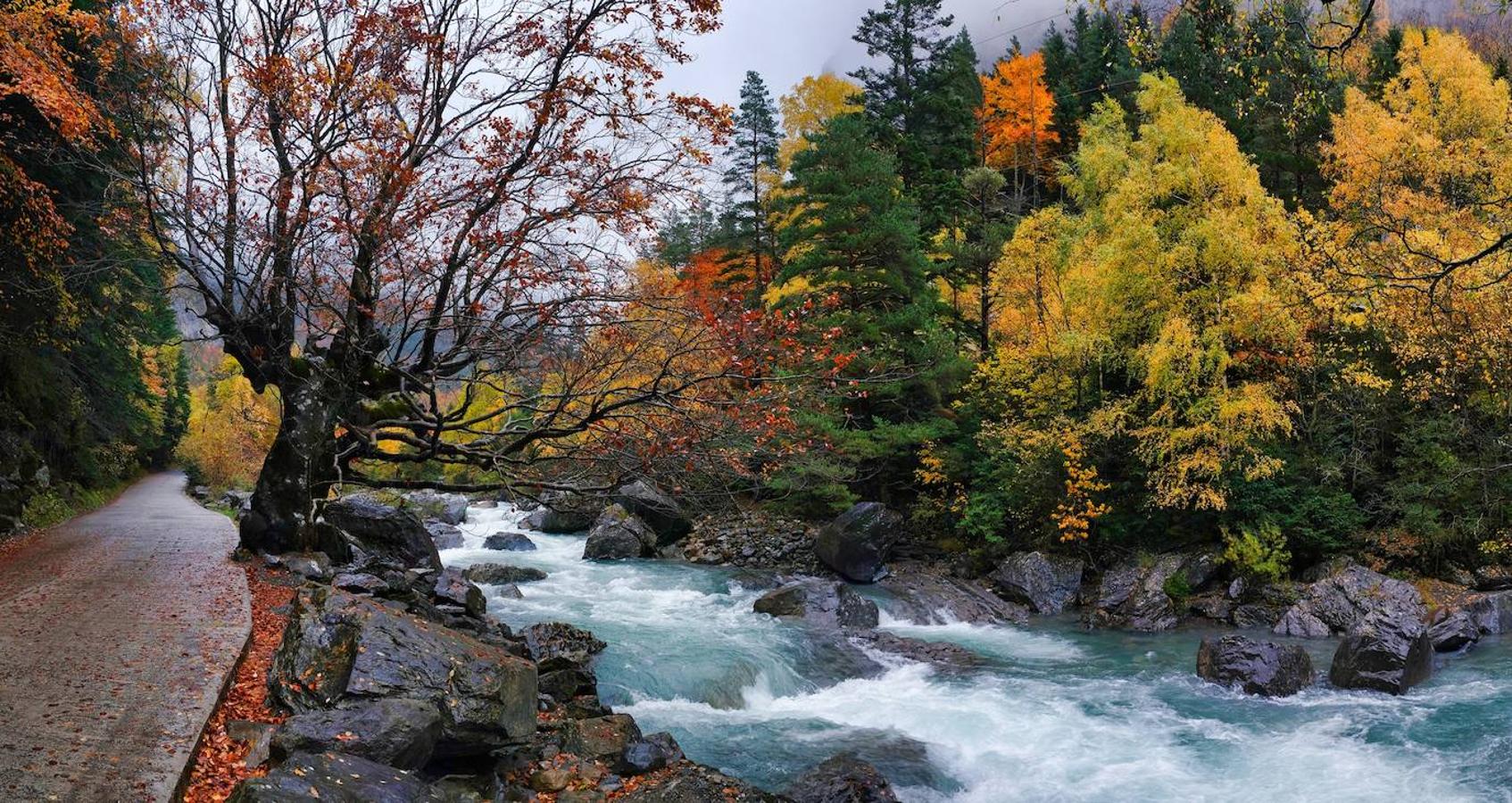 El circo glaciar del valle de Ordesa, con sus moles de piedra tapizadas de bosque, es uno de los paísajes más alucinantes del Pirineo aragonés. Y una visita en otoño te dejará, directamente, con la boca abierta: los ríos y cascadas bajan llenos de agua y el bosque, formado por abetos y hayas, se pinta de amarillo, rojo, naranja y verde profundo.