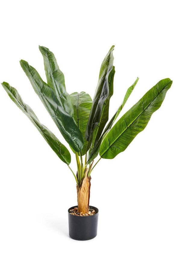 Esta palmera pequeña con macetero en color negro tiene un precio de 20 euros.