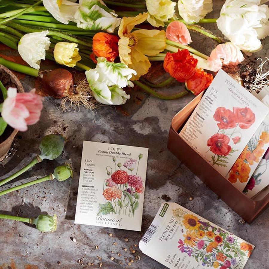 Llena tu casa de color y naturaleza y crea un pequeño jardín (aunque no lo tengas) con flores de temporada que plantes tú misma. Tulipanes, peonías, caléndulas, amapolas... Puedes encontrar diferentes semillas en Amazon Home desde 5.99 euros.