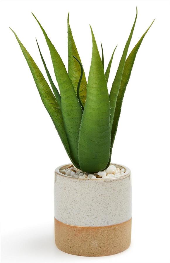 Esta planta artificial viene en un macetero de cerámica vidriada y tiene un precio de 7 euros.