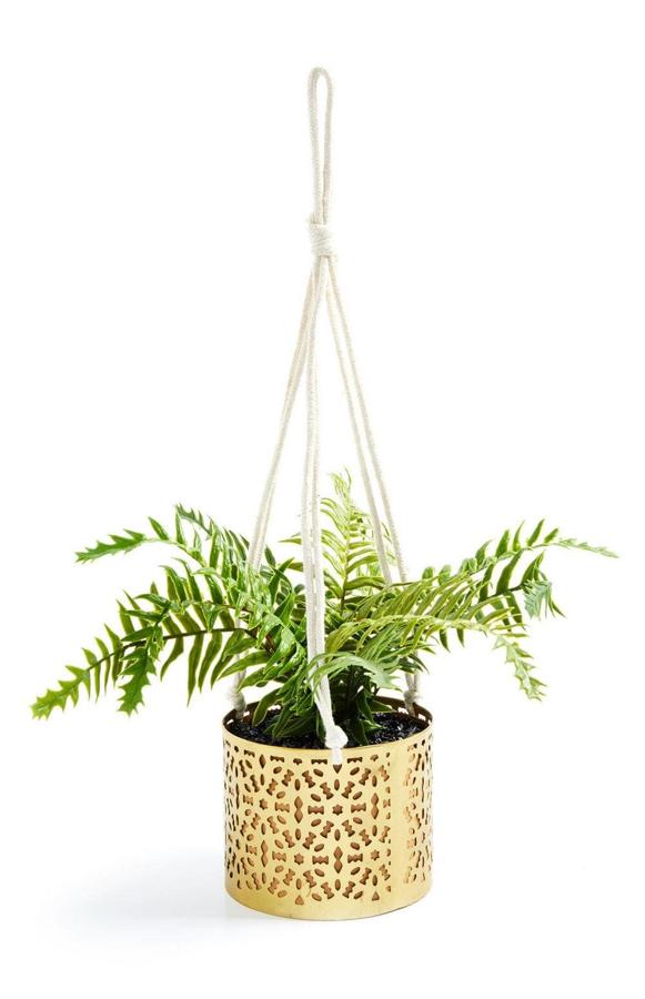 Con macetero dorado con colgador de macramé, esta planta tiene un precio de 7 euros.
