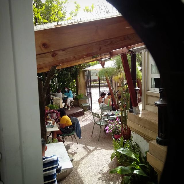 Kafé Botanika, en el Paseo del Árbol de Guernika, 8, de San Sebastián. A orillas del Río Urumea se abre esta deliciosa terraza-jardín con precios baratos y una carta en la que los platos 'veggies' son los protagonistas.