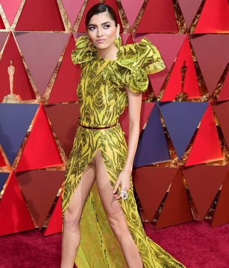 Con un vestido de lentejuelas, manga abullonada y generosa abertura en la pierna. Así se presentó Blanca Blanco en la alfombra roja de los Oscar, donde se convirtió en el centro de los fotógrafos no por su faceta como actriz, directora y productora sino por dejar al descubierto sus partes más íntimas, pues no llevaba ropa interior.