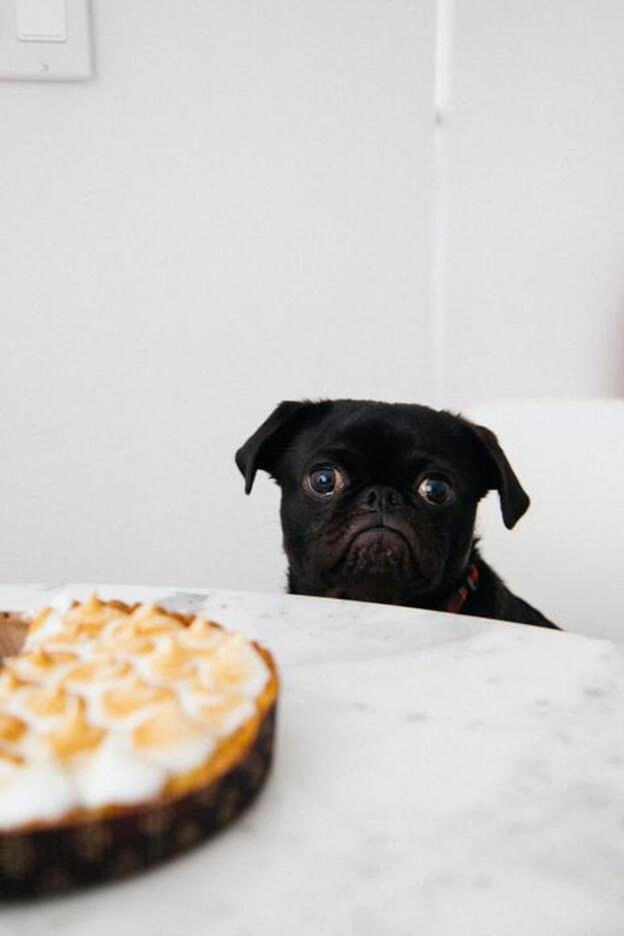 Pincha en la foto para ver las mejores dietas para perder peso de manera saludable.