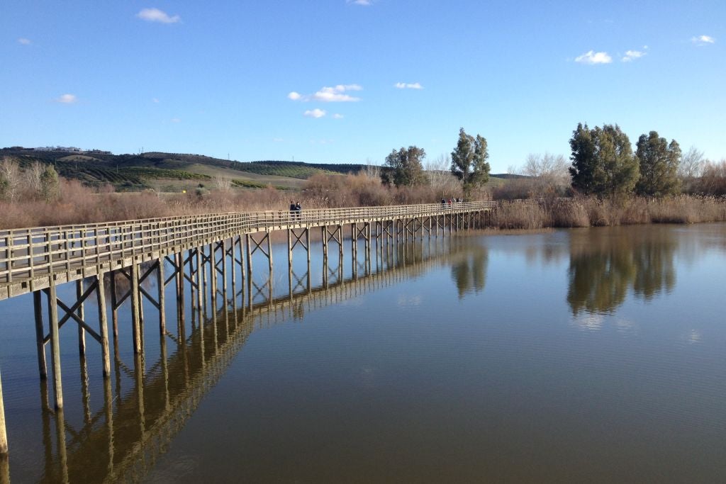Esta laguna artificial rodeada de álamos, fresnos, olmos, adelfas y sauces es un enclave privilegiado para disfrutar de un día al aire libre en plena naturaleza, recorrer las pasarelas de madera sobre el agua, observar aves acuáticas por su cercanía al Parque Nacional de Doñana y, además, disfrutar de un buen picnic, ya que cuenta con zona de mesas y barbacoas.