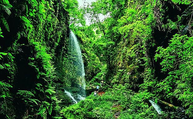 La Palma fue declarada Reserva de la Biosfera en 2002