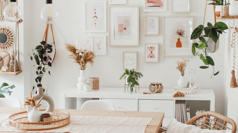 Maceteros colgantes: la solución perfecta para colgar plantas en pisos mini