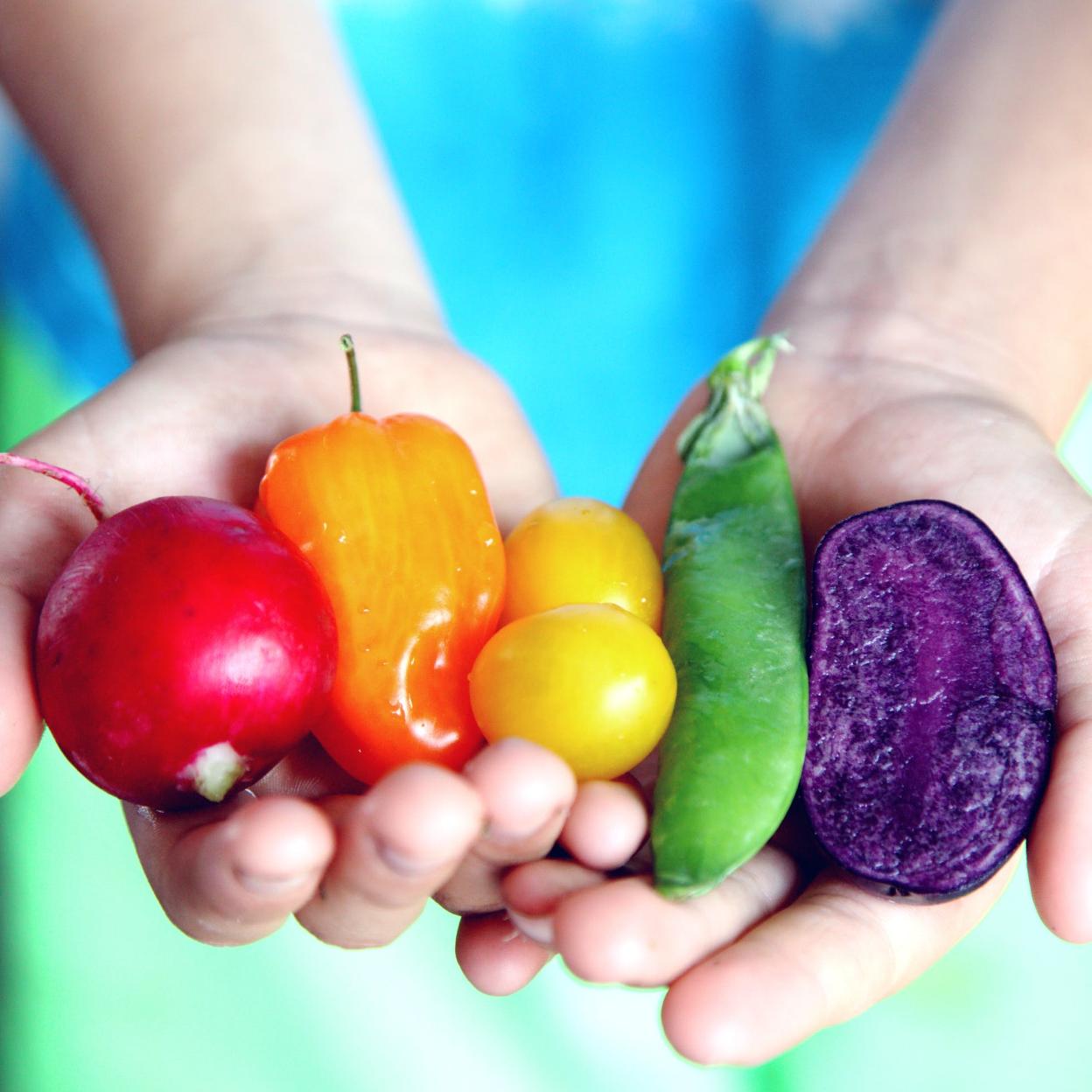 El secreto de las verduras está en la fibra y las calorías: no solo para perder peso, sino también para tardar en recuperarlo