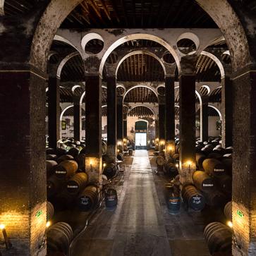 Imagen secundaria 1 - Bodegas y escapadas: el maridaje perfecto para el próximo puente de diciembre