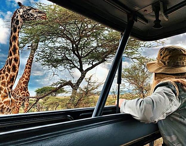 Dónde hacer los mejores safaris por África.