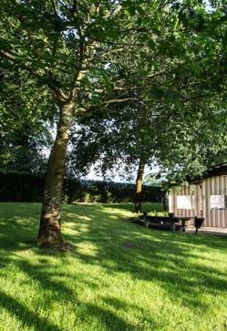 Imagen secundaria 2 - Caserío del siglo XV en el barrio San Pedro de Boroa (Vizcaya).