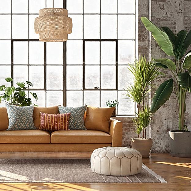 Las mejores plantas de interior para decorar tu casa: dónde colocarlas y el manual definitivo para que las cuides bien y te duren mucho más