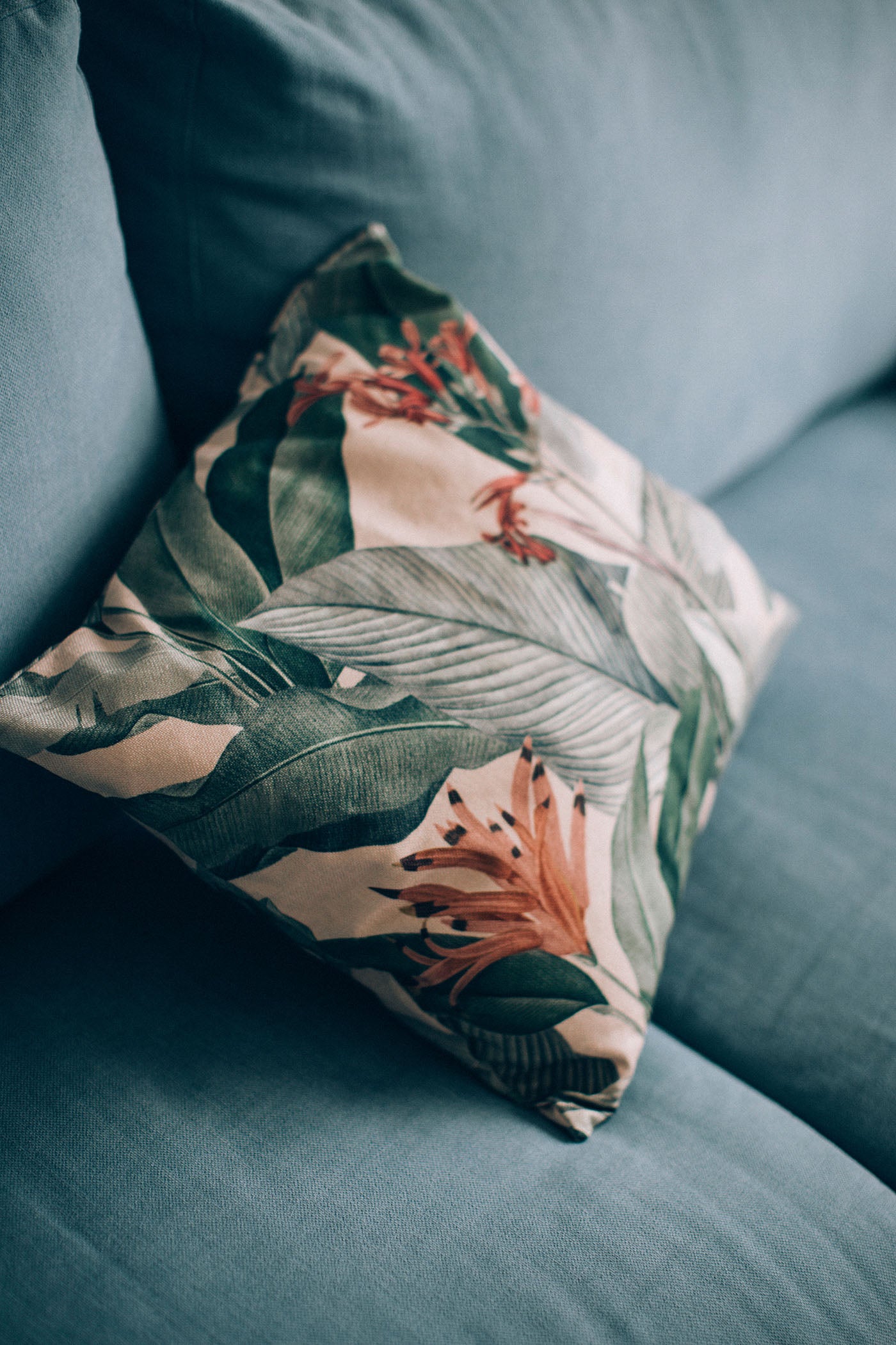 El estampado tropical es un básico que nunca falla, y en la sección deco de Sfera lo saben. Estos cojines llenos de color y tendencia cuestan 6.99 euros.