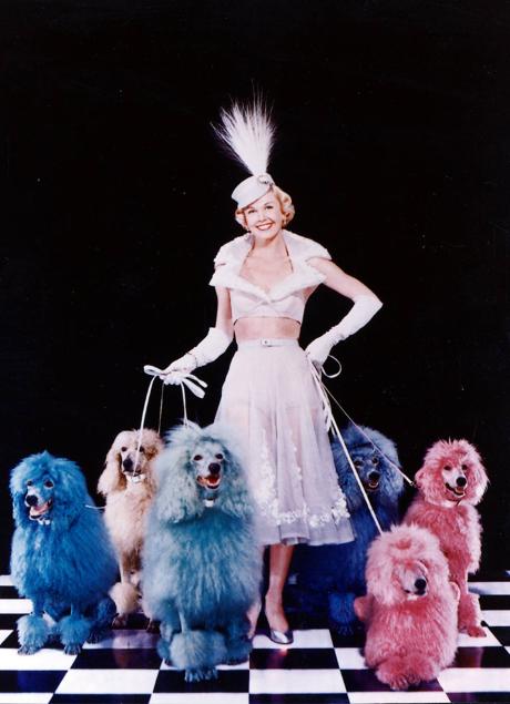 Imagen - La actriz acabó convirtiñendose en una defensora de los derechos de los animales.