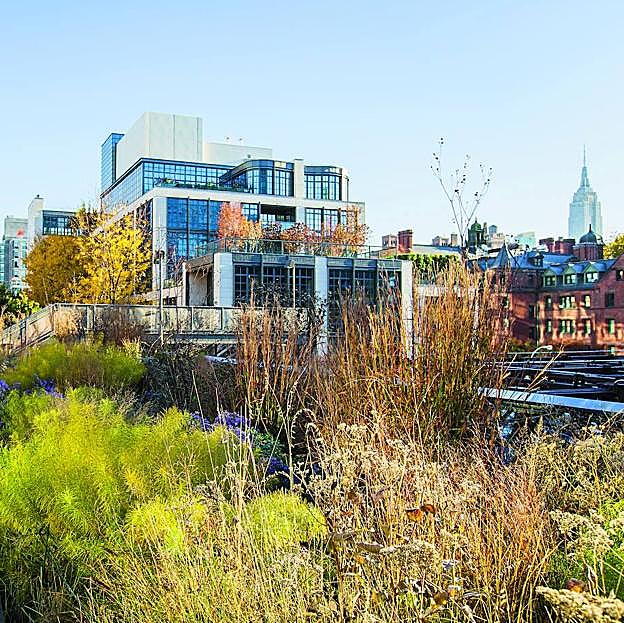 Algo Salvaje: destinos para reconciliarte con la naturaleza más chic