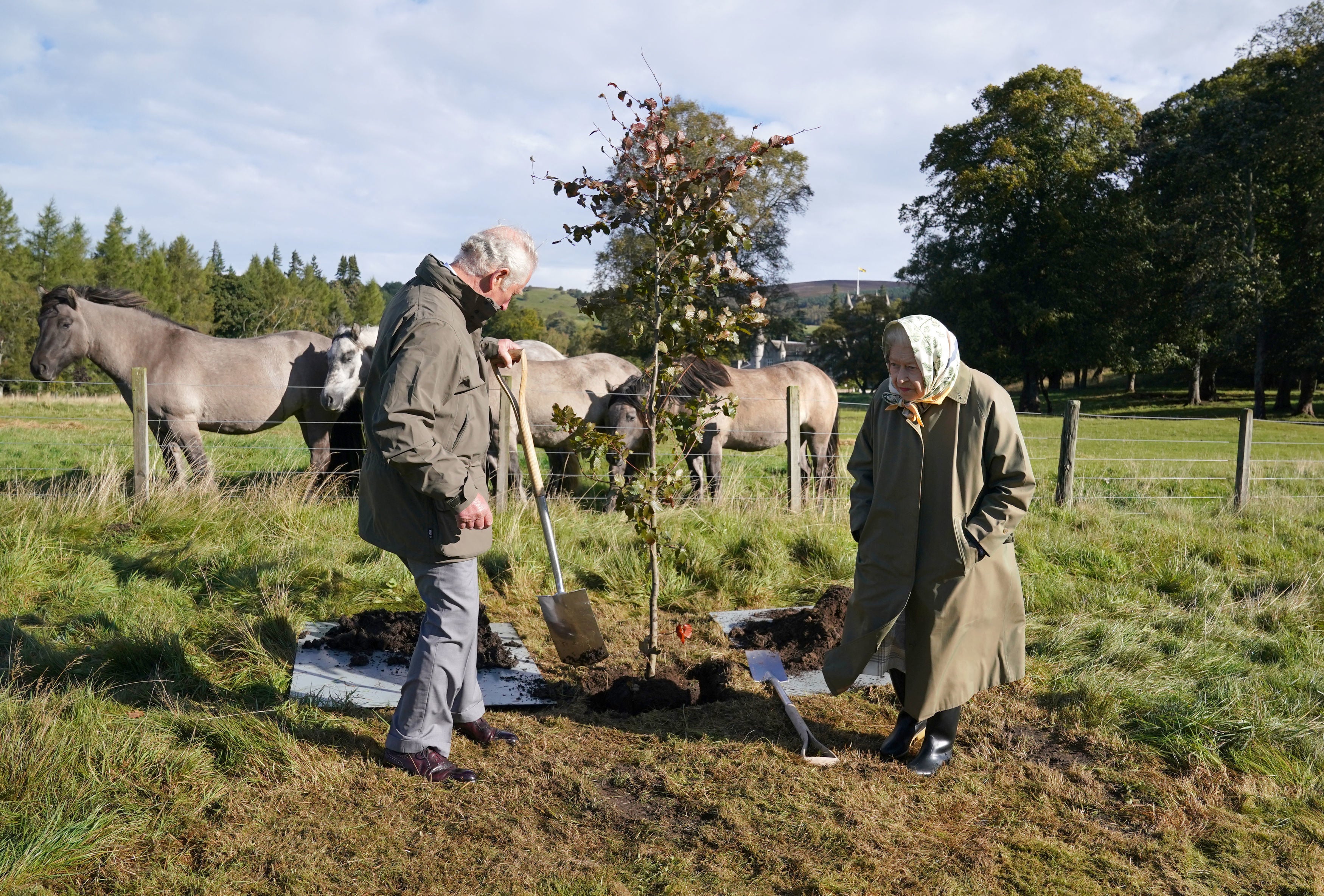 La reina Isabel y Carlos de Inglaterra plantan un árbol para marcar el inicio de la temporada oficial de plantación del Queen's Green Canopy en Balmoral, en Escocia, como parte de los actos para celebrar el 70º aniversario de la monarca en el trono.