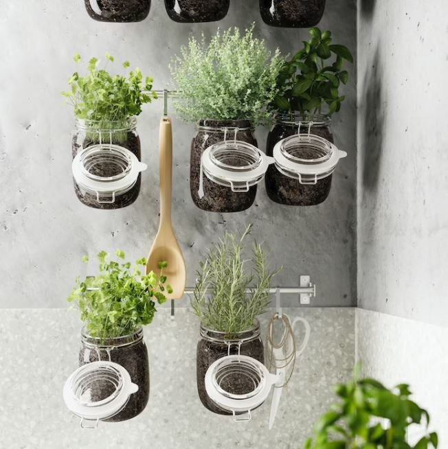 Una despensa en orden es clave en una casa, y para conseguirlo, los botes de cristal son grandes aliados. En este caso, en cambio, desde IKEA nos proponen dar un nuevo uso a sus tarros KORKEN (desde 2 euros) y convertirlos en un huerto vertical para cultivar tus propias planras y especias.