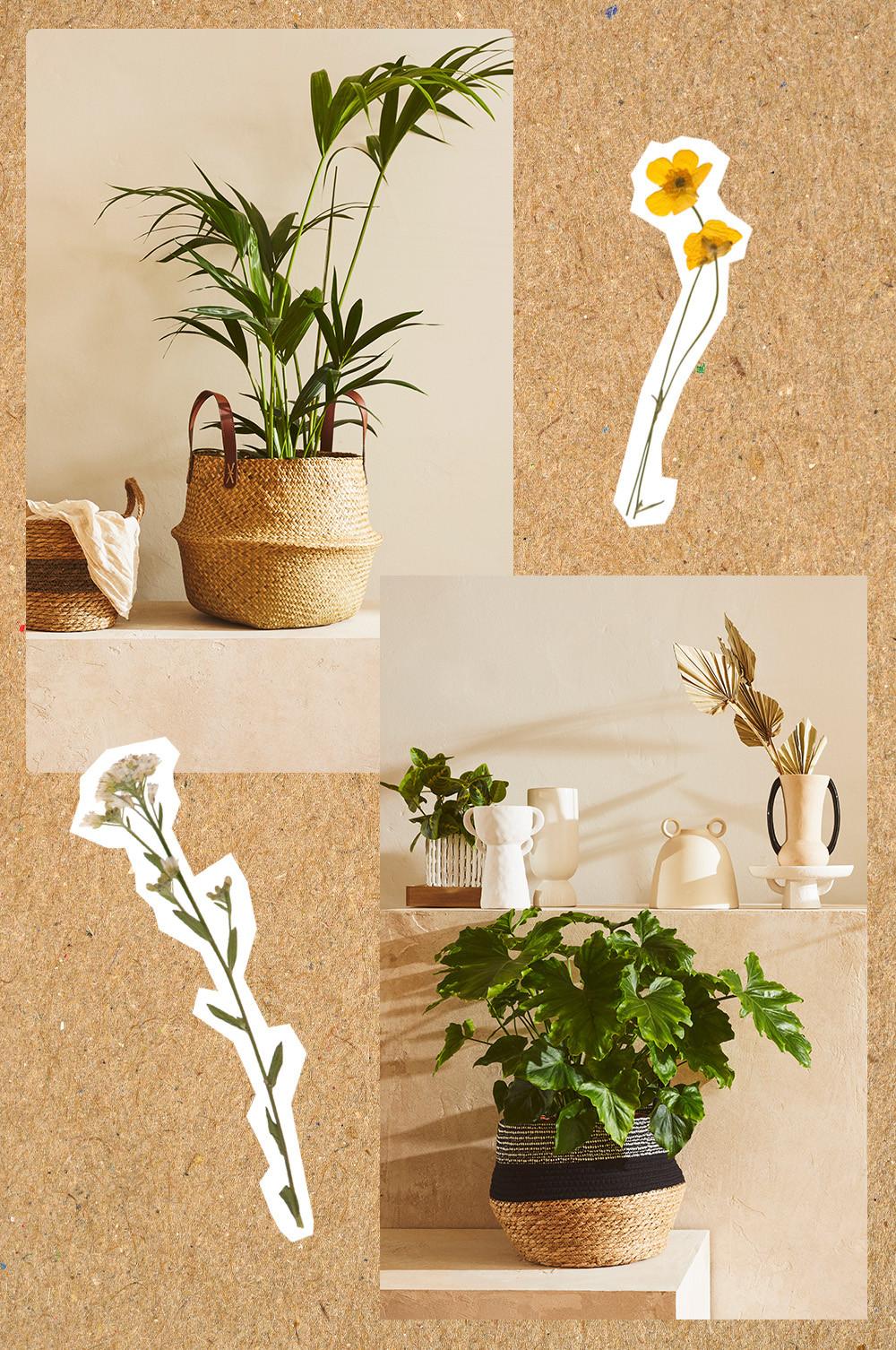 Los jarrones y cestas son una opción perfecta y preciosa para llenar tu casa de flores. En Primark Home están disponibles desde 7 euros y las plantas artificiales, desde 2 euros.