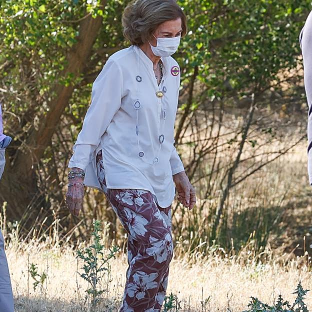 Imagen principal - La reina Sofía esta mañana en Boadilla de Monte.