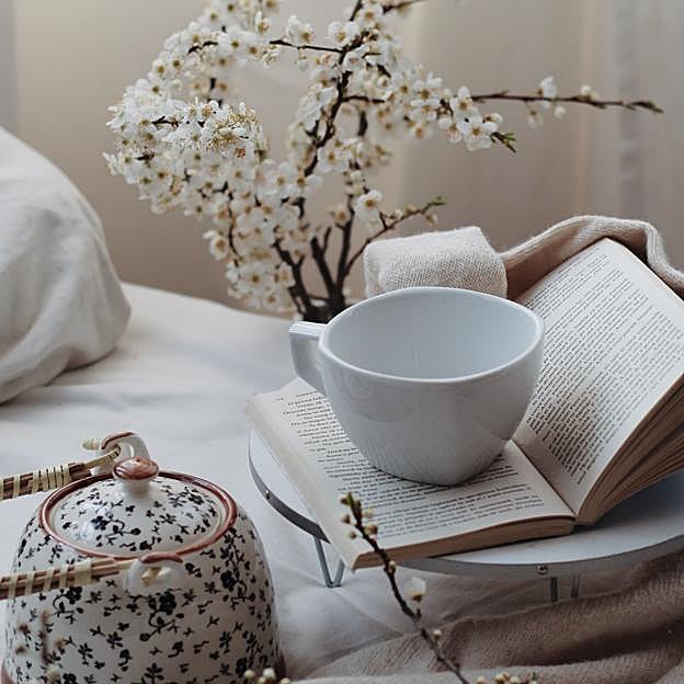 Infusión de boldo, la bebida que deberías beber cada noche para purificar el hígado mientras duermes