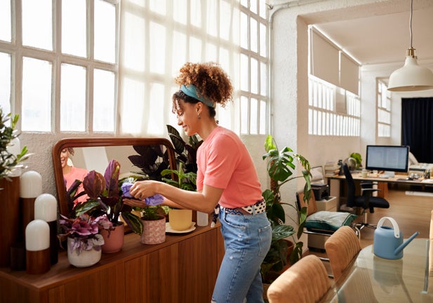 Side view of young woman cleaning leaves of plotted plants at home. Woman with curly hair gardening at home. She is wearing casuals.