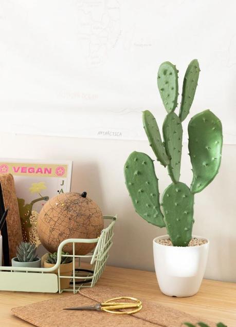 Imagen - El cactus es una planta perfecta paara poner en el despacho, ya que consigue neutralizar las ondas electromagnéticas.