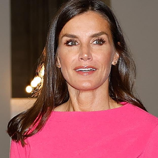 La reina Letizia, guapísima de rosa en Alemania con su vestido favorito (que cuesta menos de 30 euros en Mango) y un abrigo camel espectacular