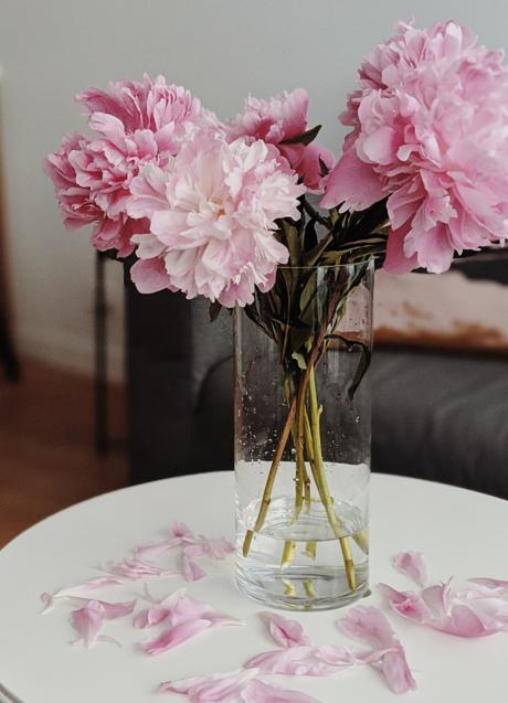 Imagen - Las peonias lucen tanto solas como acompañadas de otras flores/PEXELS