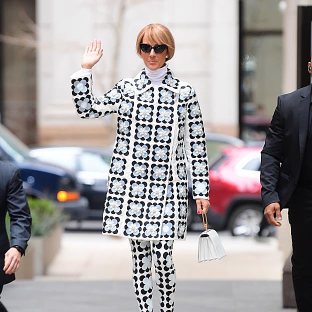 Celine Dion se ha distinguido siempre por ser amante de la moda y fan de los looks atrevidos.