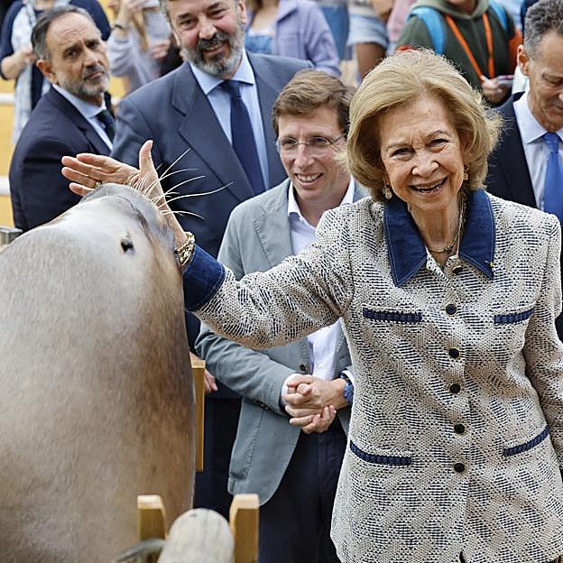 La reina Sofía con una foca en el zoo de Madrid.