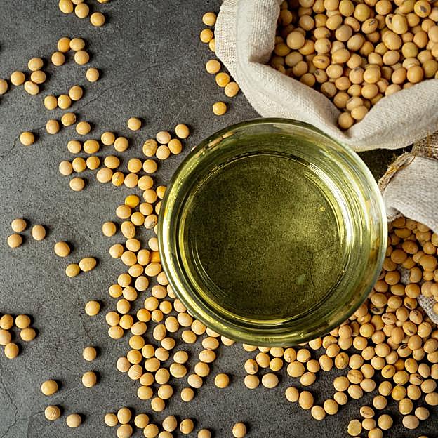 Aceite y semillas de soja. 