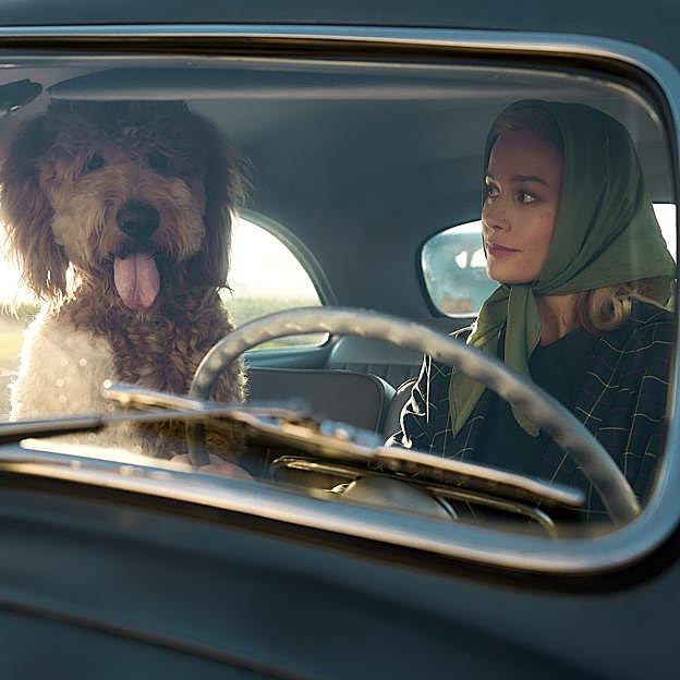 Seis y media y Elizabeth Zott, interpretada por Brie Larson, es una de las mejores parejas humano-animales de la ficción. 