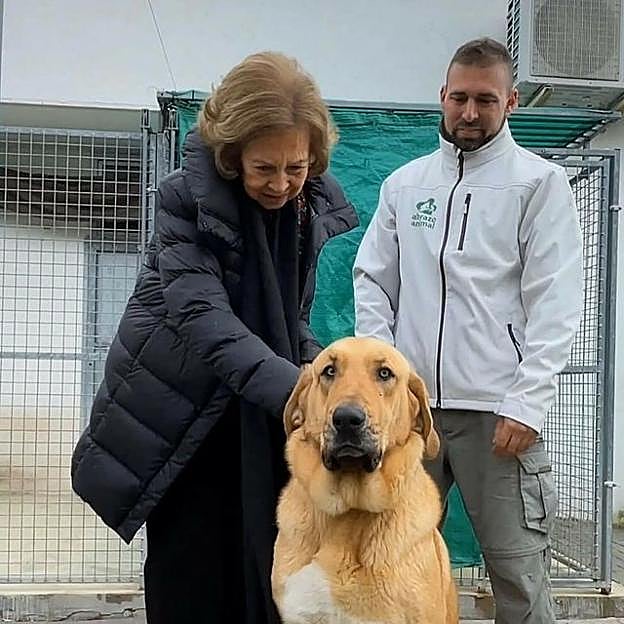 La reina Sofía en una protectora de animales.
