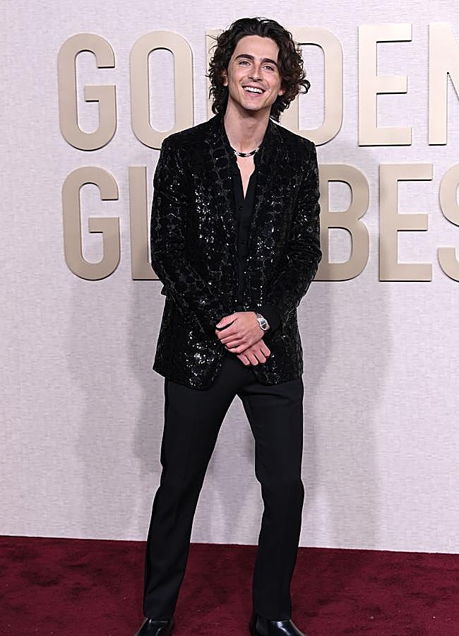 Imagen - Timothée Chalamet. / GTRES