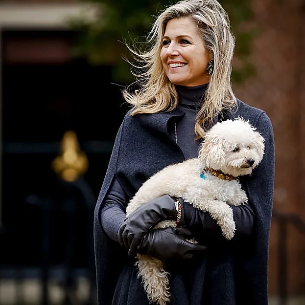 Máxima de Holanda con capa gris