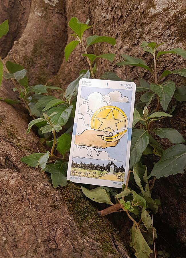 Imagen - Carta del Tarot/PEXELS