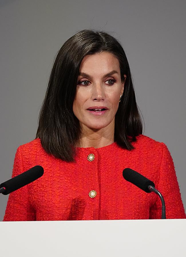 Imagen - La reina Letizia dando un discurso. / LIMITED PICTURES