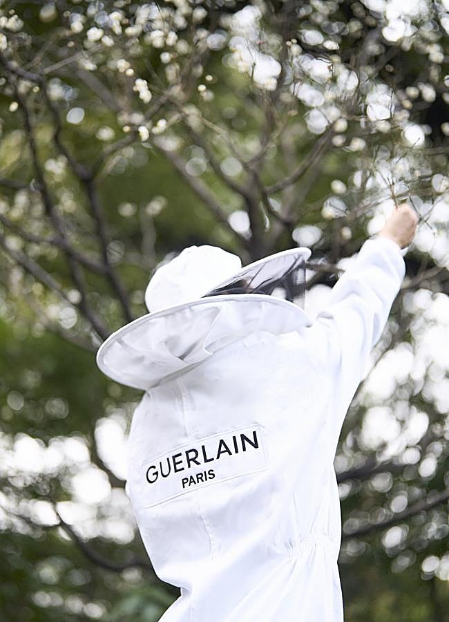 Imagen - ©Keiichiro Nakajima