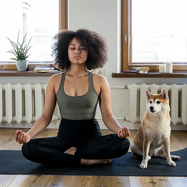 Cuatro semanas de yoga: las mejores posturas para un plan exprés que te permitirá calmar tu mente y tonificar todo tu cuerpo 