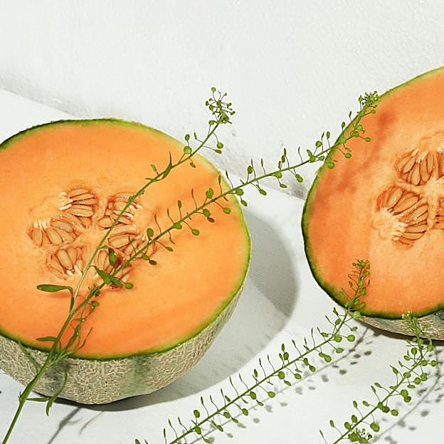 El batido de melón y avena es una gran fuente de antioxidantes. 