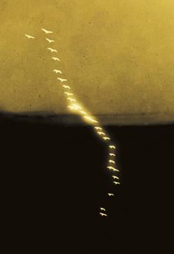 Imagen secundaria 2 - Arriba, Arbres II, de Harald Gottschalk. Abajo, La mort d'Abel (Esteban Pelaez), 2007, de Pierre et Gilles; y Yumemiru II, 2017, de Paul Cupido.