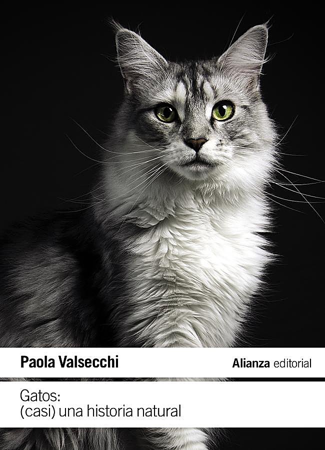 Imagen - Portada de Gatos: (casi) una historia natural.