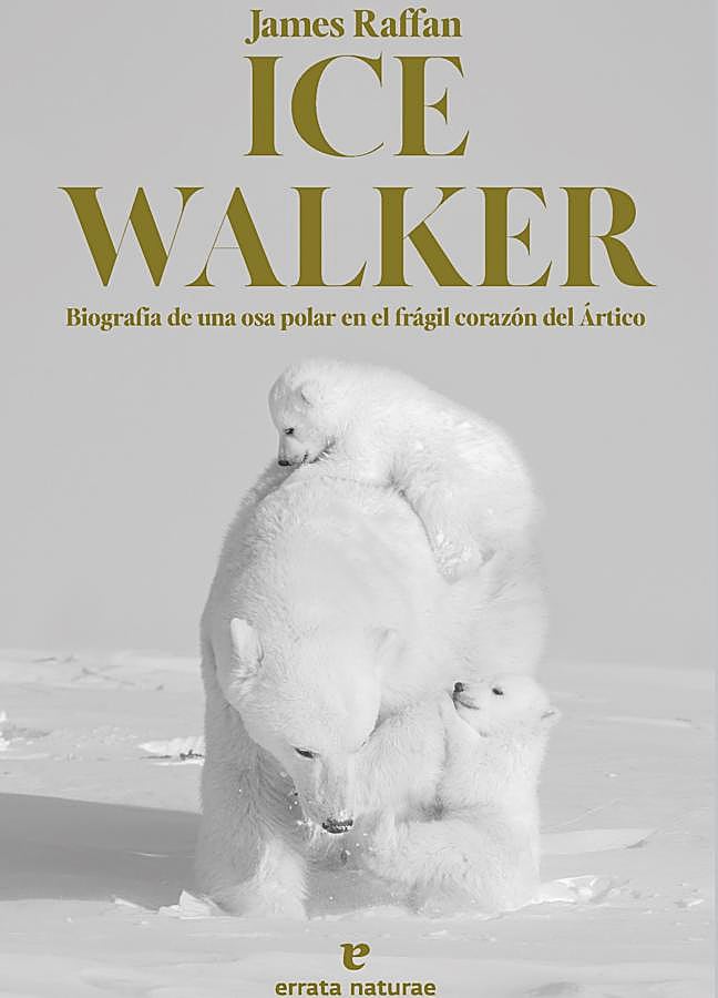 Imagen - Portada de Ice Walker, el libro de biólogo James Raffan sobre una osa polar. / Errata Naturae