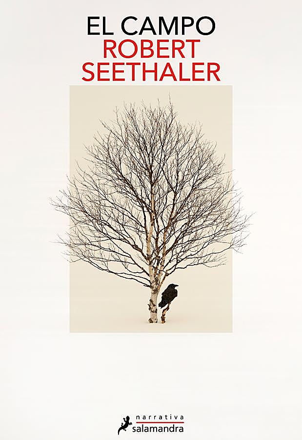 Imagen - Portada del nuevo libro del escritor austríaco, Robert Seethaler. /Salamandra